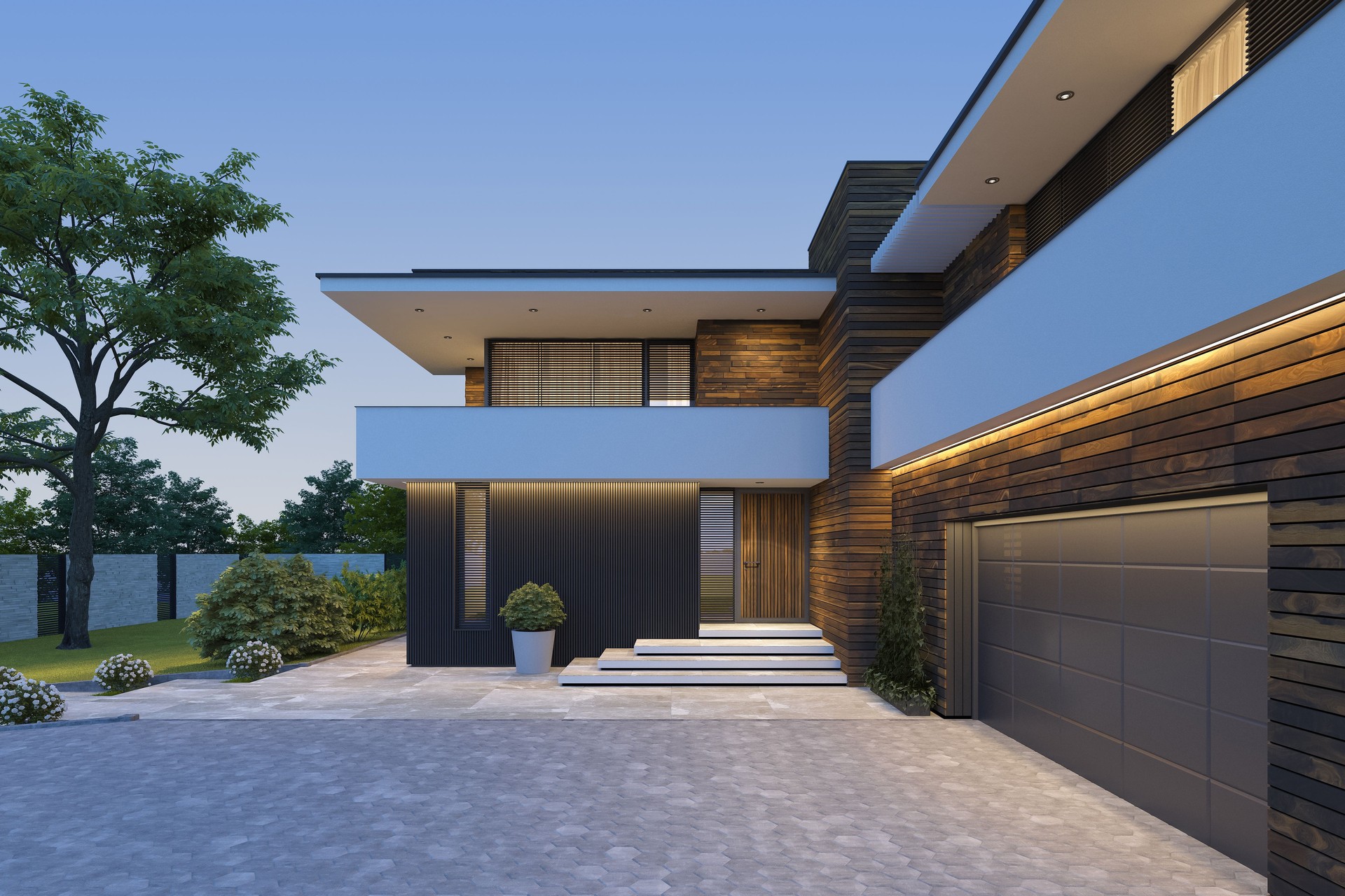 Black and Wooden panels Modern Luxurious Villa with garden.