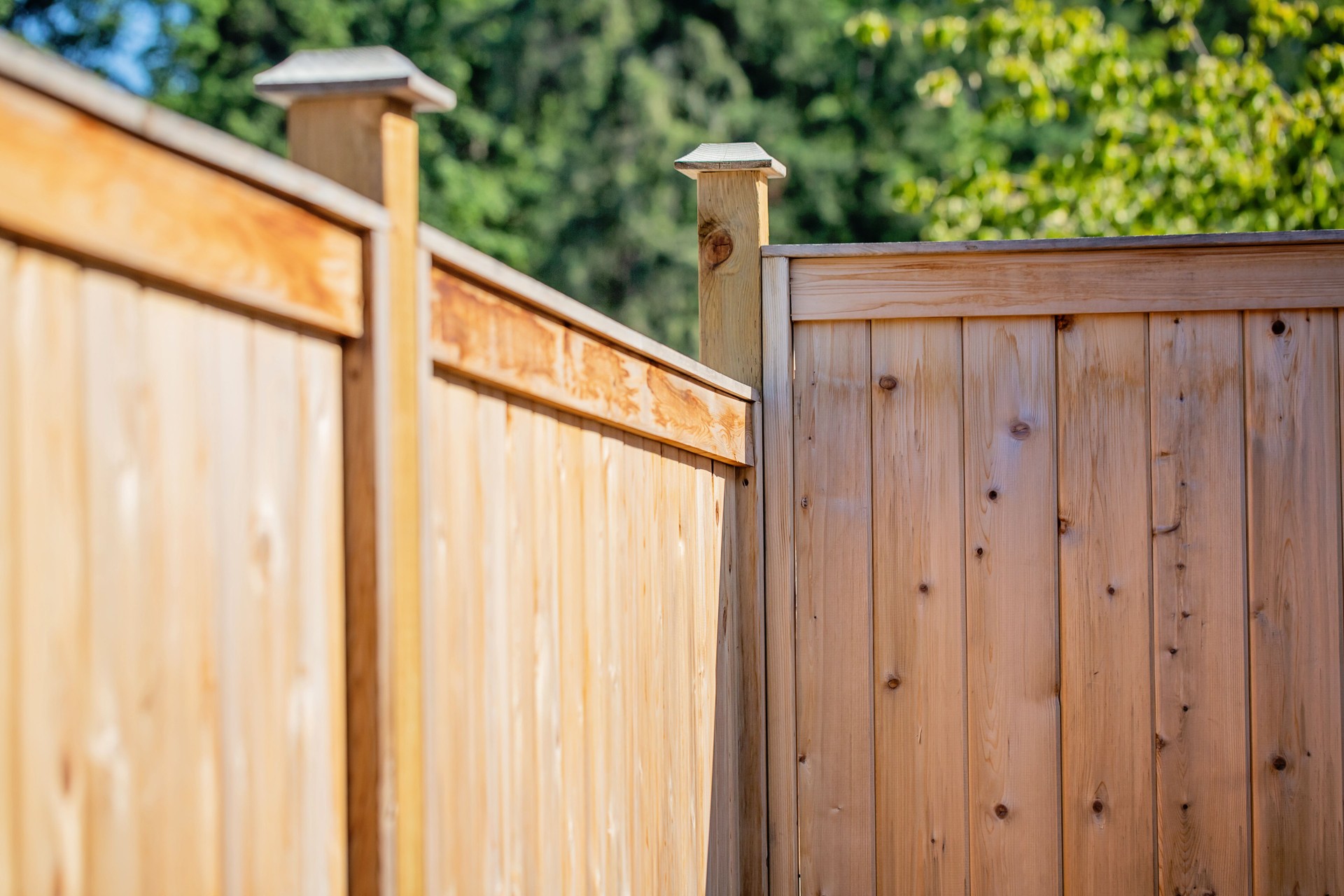 Untreated Fence